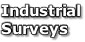 Industrial Surveys
